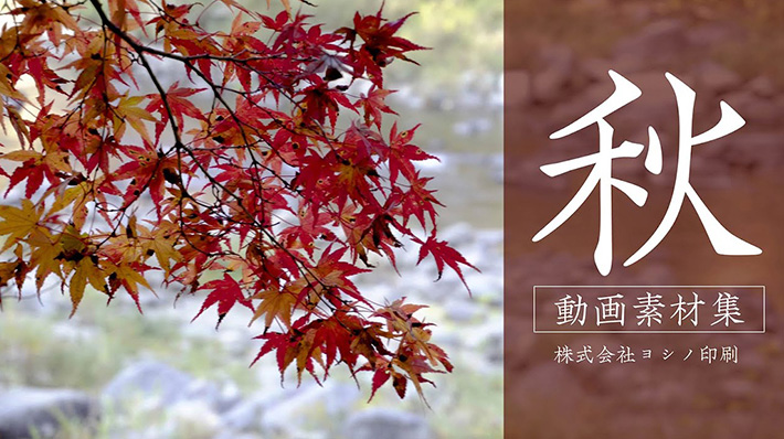 ー紅葉編－（ジンバルでの地上からの撮影事例）