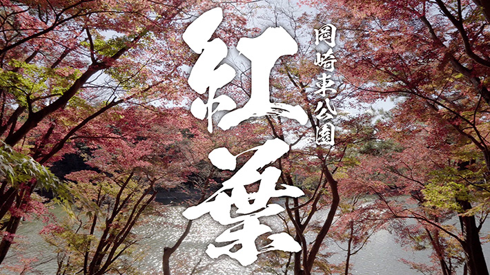 東公園の紅葉