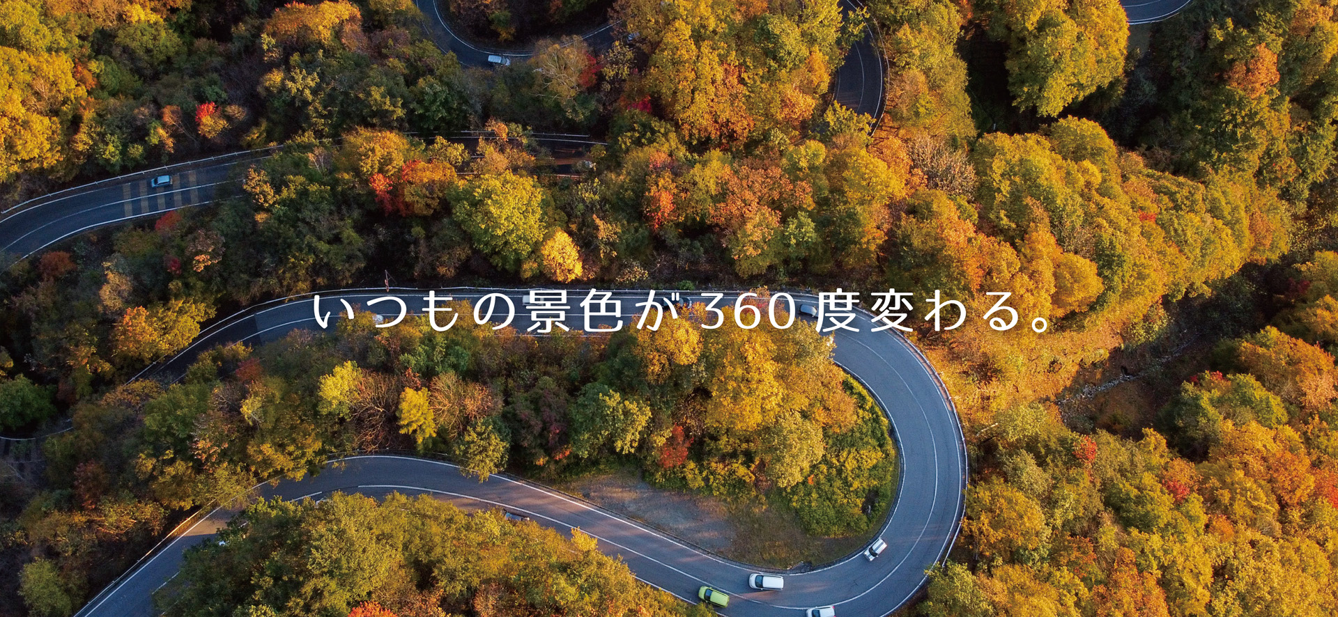 ヨシノ印刷